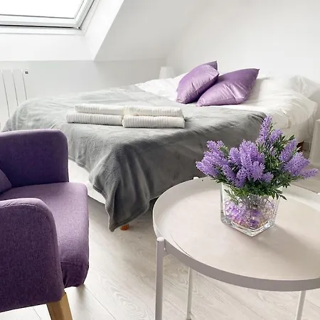 Apartamento Esprit Violet - Joli Salengro - Sauna & Sport Club Mulhouse