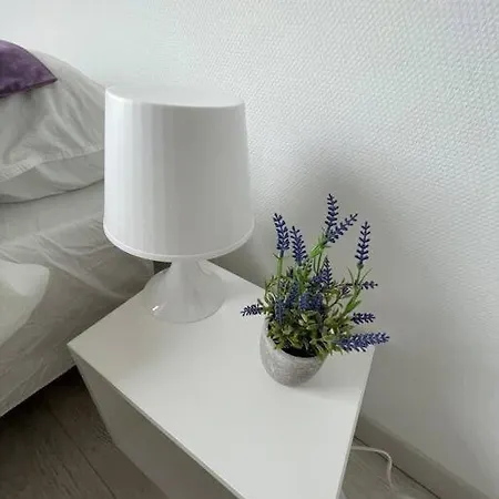 Esprit Violet - Joli Salengro - Sauna & Sport Club Apartment