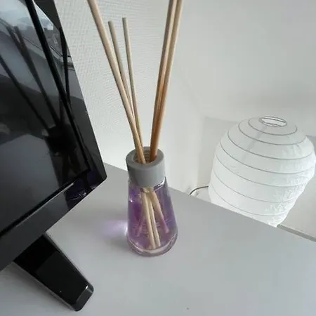 Esprit Violet - Joli Salengro - Sauna & Sport Club Apartamento