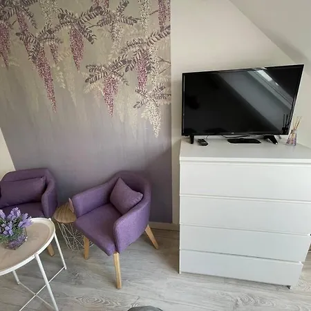 Apartment Esprit Violet - Joli Salengro - Sauna & Sport Club Mülhausen