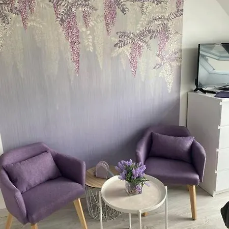 Esprit Violet - Joli Salengro - Sauna & Sport Club *