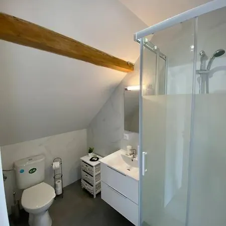 Apartment Esprit Violet - Joli Salengro - Sauna & Sport Club Mülhausen