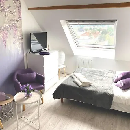 Esprit Violet - Joli Salengro - Sauna&sport Club Mulhouse