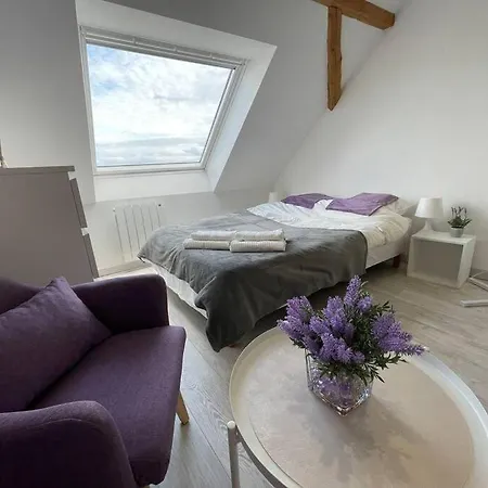 Apartamento Esprit Violet - Joli Salengro - Sauna & Sport Club Mulhouse