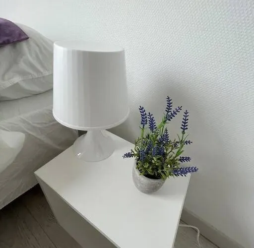 Esprit Violet - Joli Salengro - Sauna&sport Club Appartamento