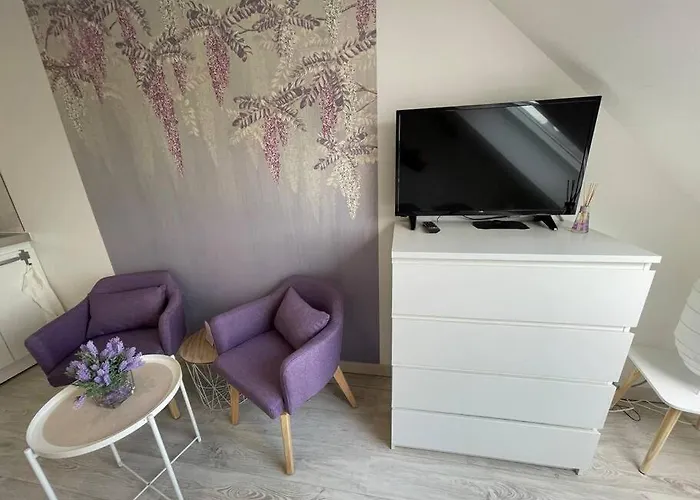 Appartamento Esprit Violet - Joli Salengro - Sauna&sport Club Mulhouse