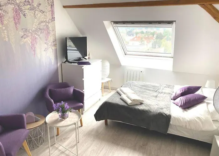 Esprit Violet - Joli Salengro - Sauna&sport Club Mulhouse