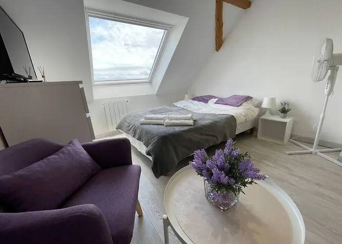 Appartamento Esprit Violet - Joli Salengro - Sauna&sport Club Mulhouse